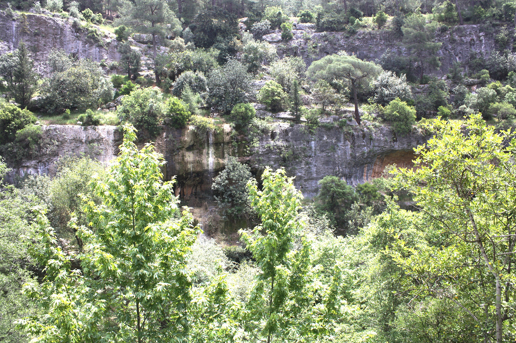 Lamos (Limonlu) Vadisi