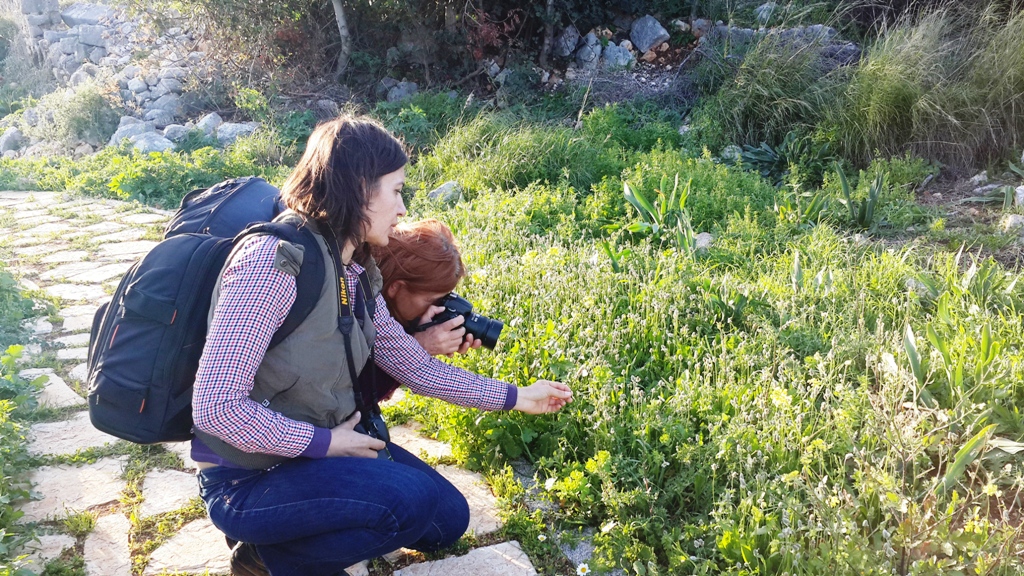 kelebek fotoğrafçıları