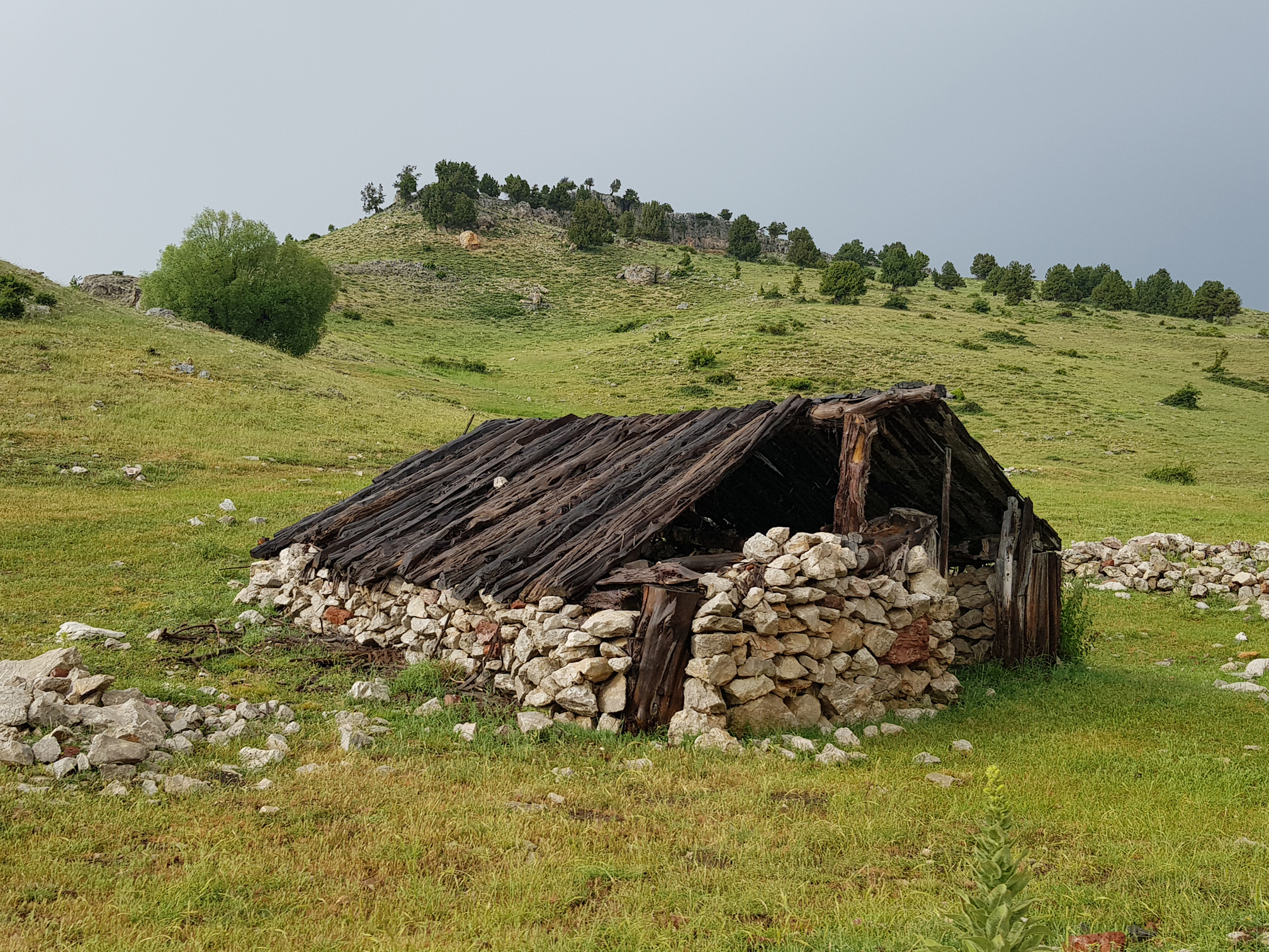 Yöruk evi