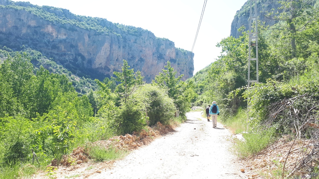 Vadi girişi toprak yol