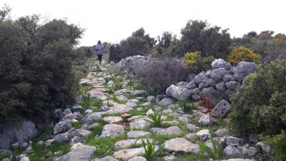 olba kültür yolu antik rotalar. Tarihi yolda bitkilerin arasında koşan kadın.